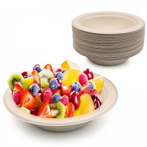 Bagasse Bowls