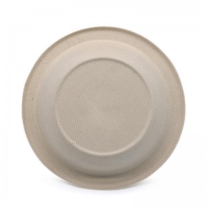 Bagasse Bowls