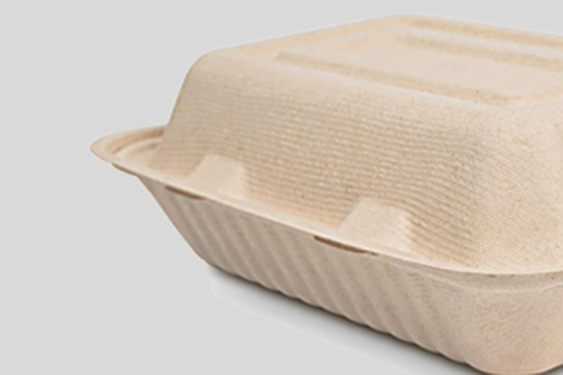 Bagasse Clamshell Hinged Food Box008