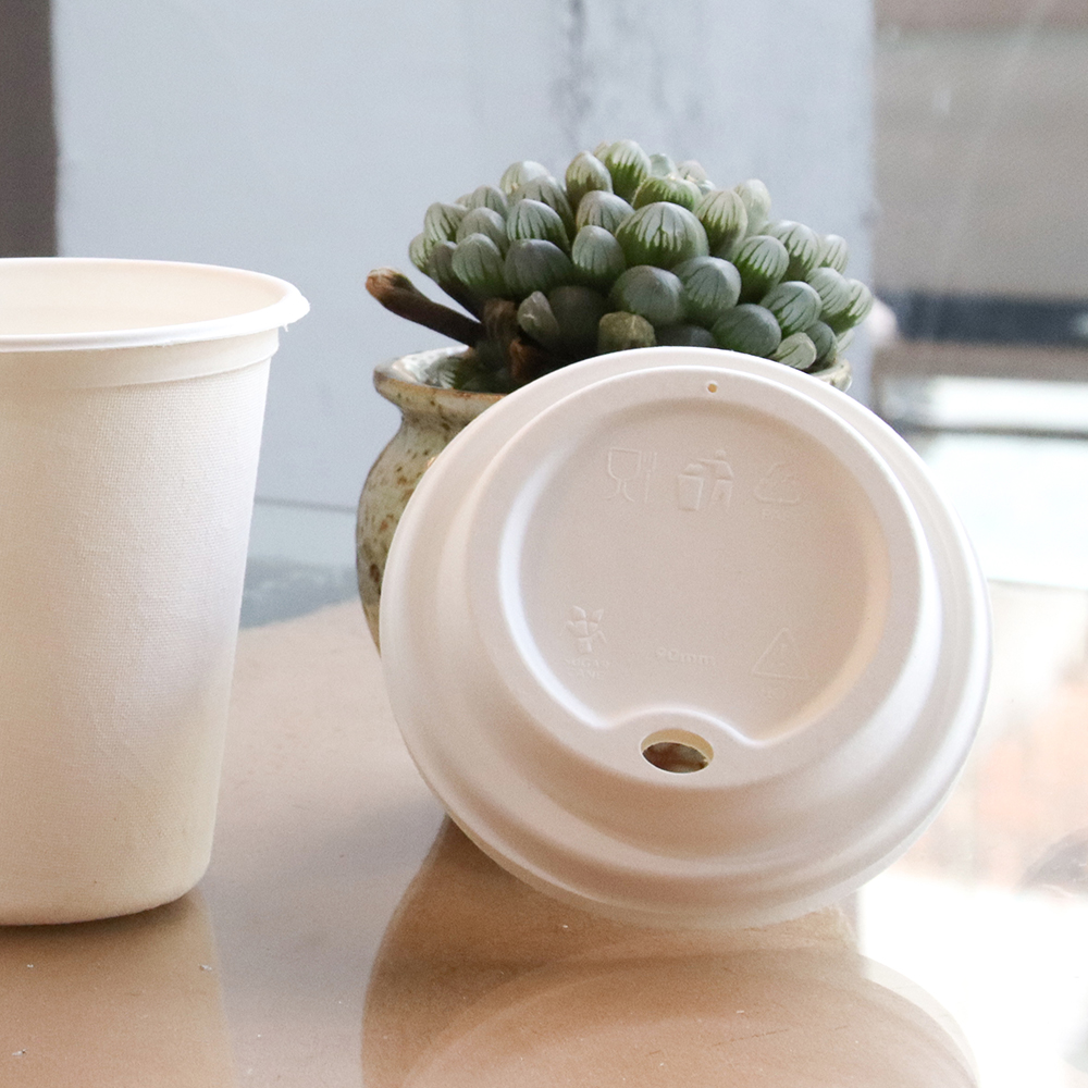 Bagasse Cups and Lids004