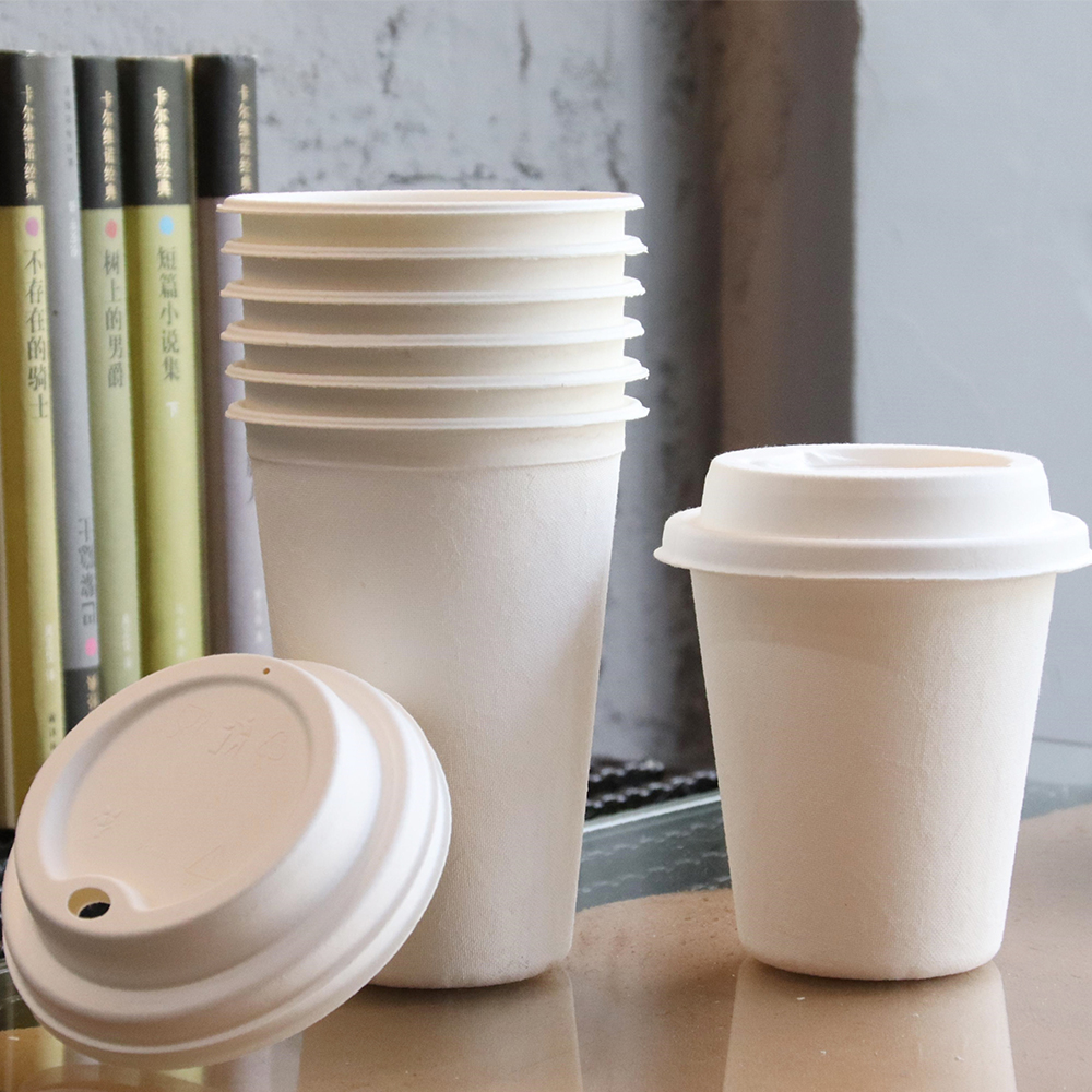 Bagasse Cups and Lids005