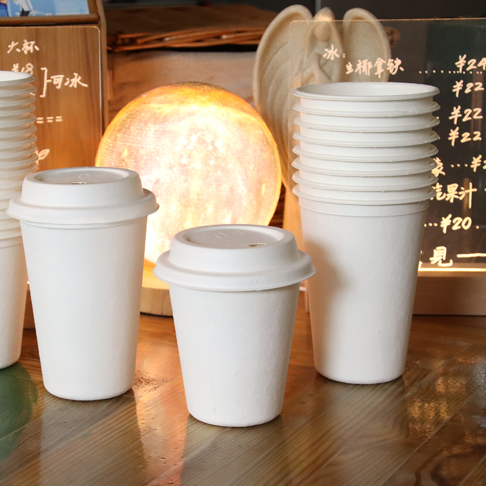 Bagasse Cups and Lids006