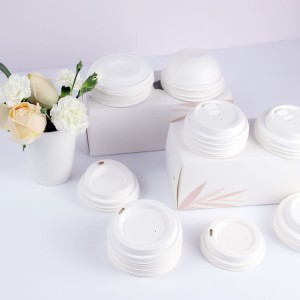 Bagasse Cups and Lids