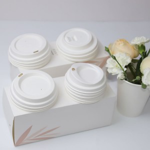 Bagasse Cups and Lids