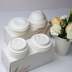 Bagasse Cups and Lids