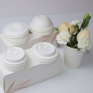 Bagasse Cups and Lids