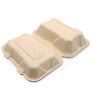 Bagasse Food Container