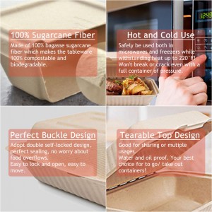 Bagasse Food Container