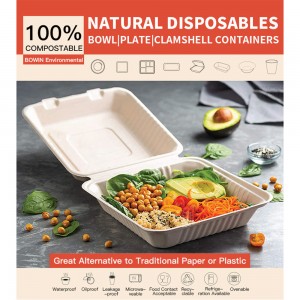 Bagasse Food Container