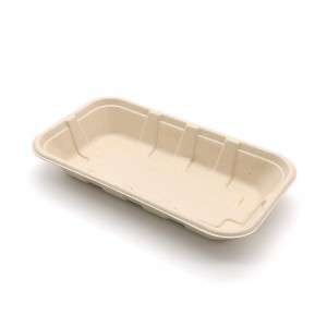 Bagasse Food and Furit Tray