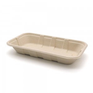 Bagasse Food and Furit Tray