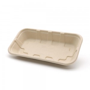 Bagasse Food and Furit Tray