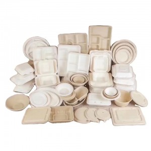 Bagasse Food and Furit Tray