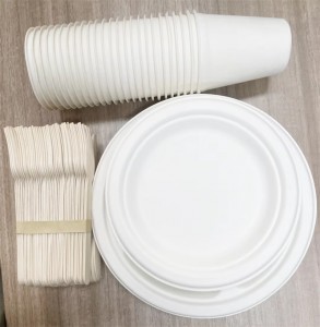 Bagasse Round Plates