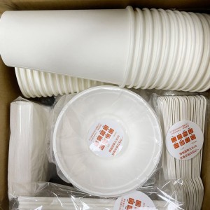 Bagasse Round Plates