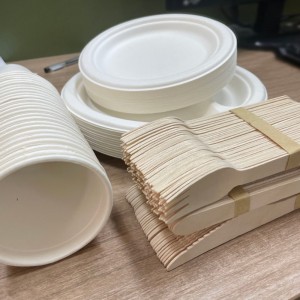 Bagasse Round Plates