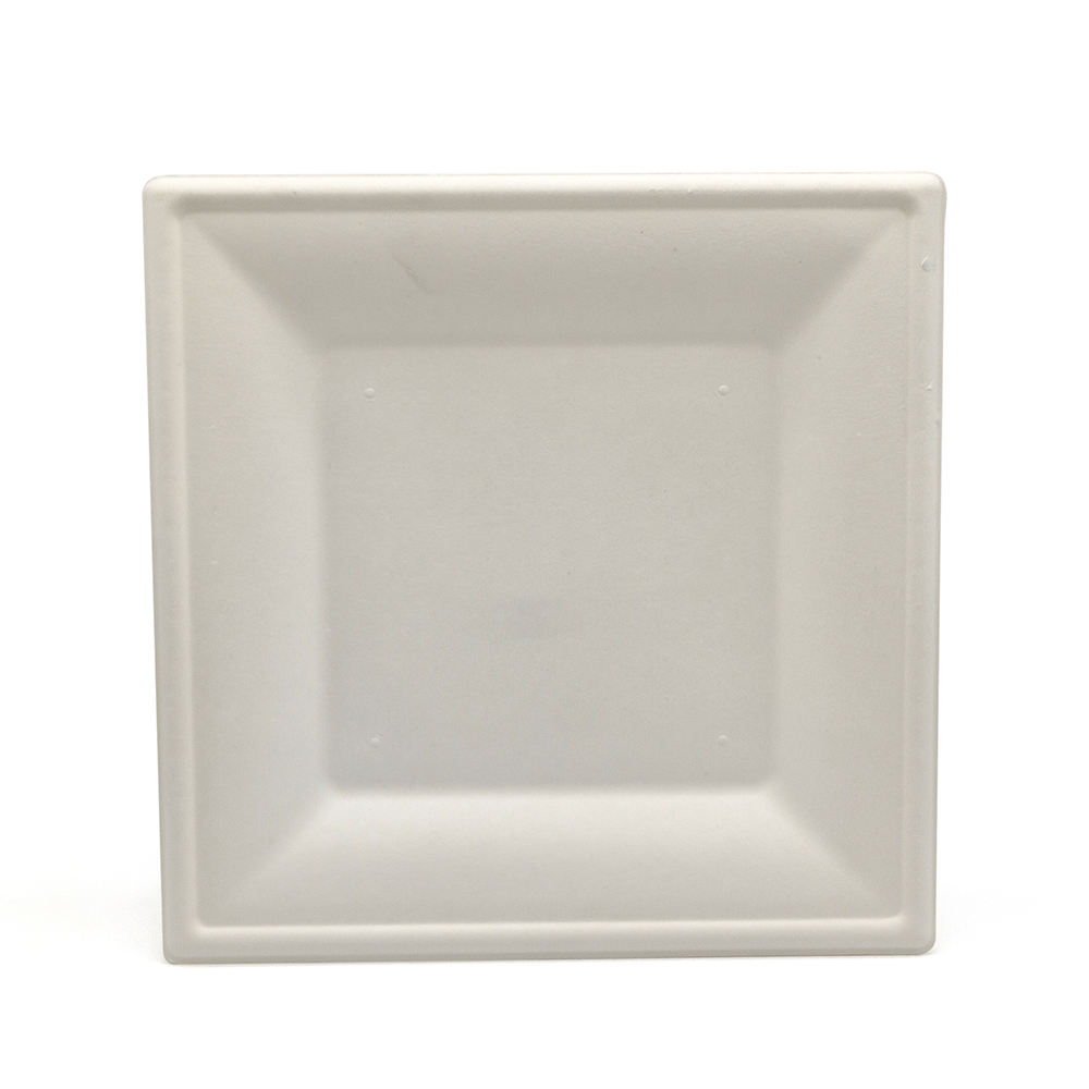 Bagasse Square Plates