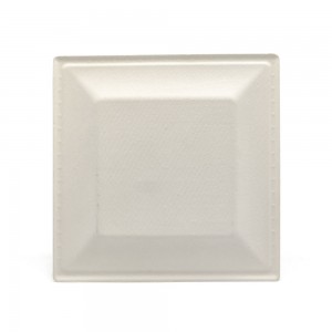 Bagasse Square Plates