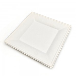 Bagasse Square Plates