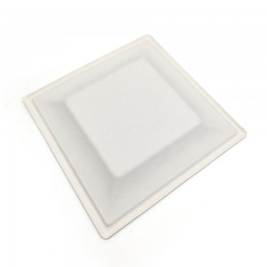 Bagasse Square Plates