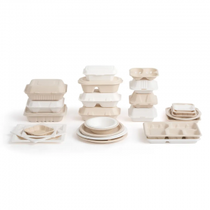 Bagasse Square Plates