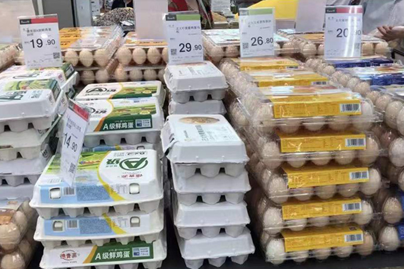 Eggs Packaging Boxes Carton Tray Egg Cartons For Chicken Eggs1