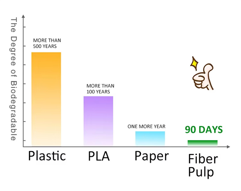 Why Choose Bagasse Tableware02