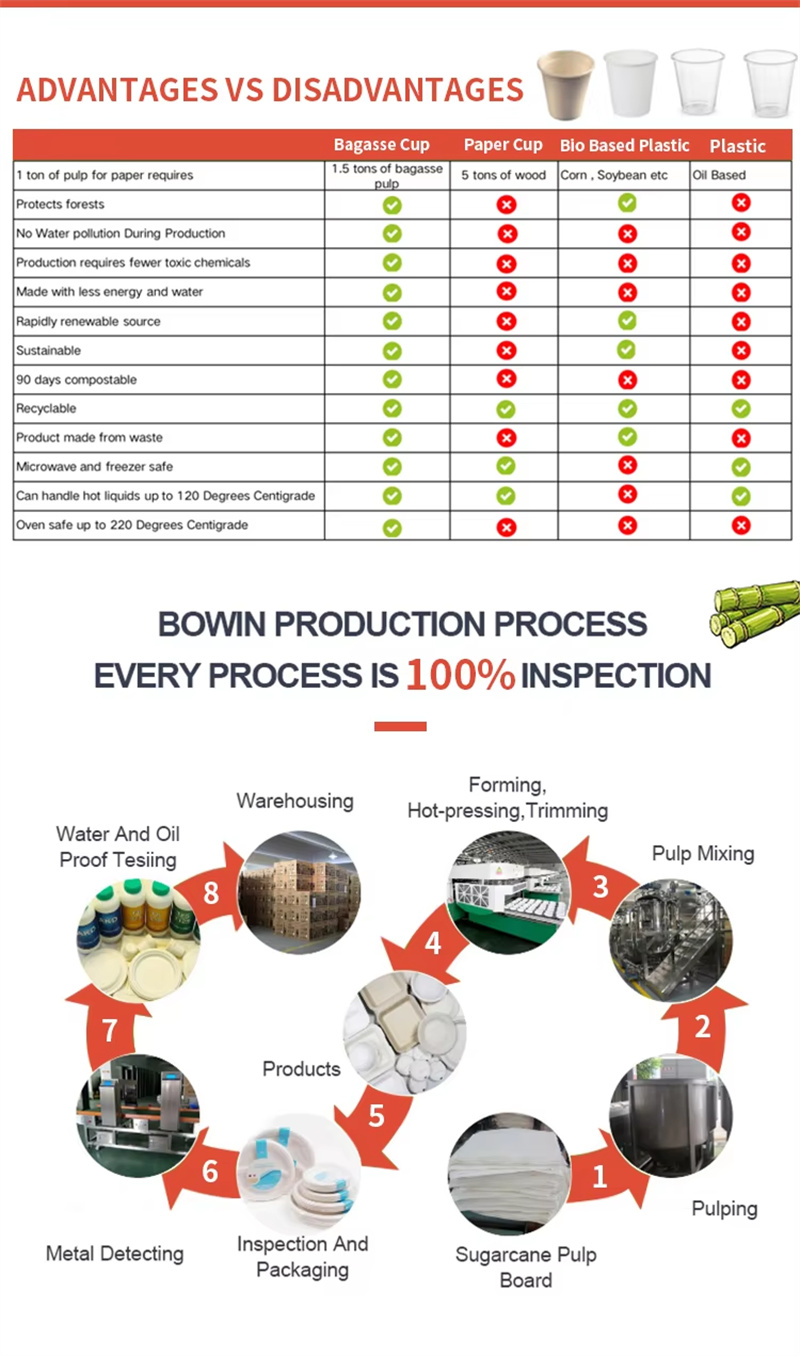 Why Choose Bagasse Tableware03